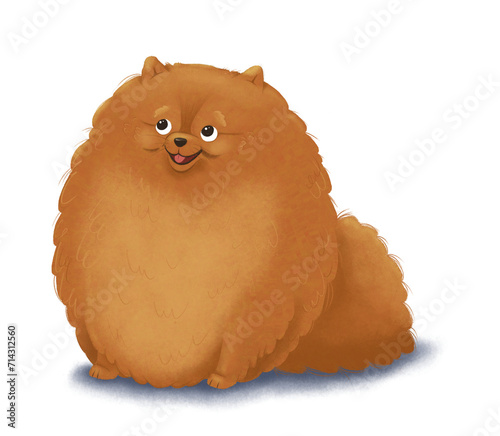 Pomeranian Dog Illustration