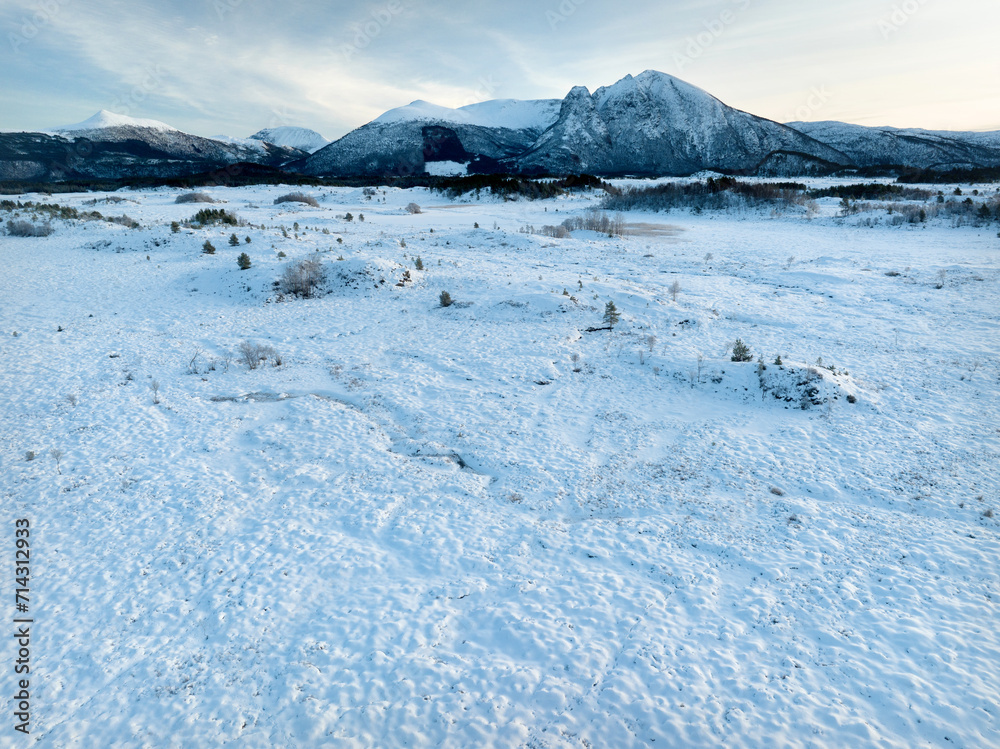 The peatland in Gule-/Stavikmyrane nature reserve in winter ( More og Romsdal, Norway).