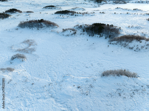 Obraz na płótnie The peatland in Gule-/Stavikmyrane nature reserve in winter ( More og Romsdal, Norway). w salonie
