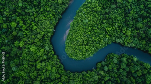  an aerial view of a river in the middle of a green forest with a blue river running through the center of the river, surrounded by lush vegetation and surrounded by trees.