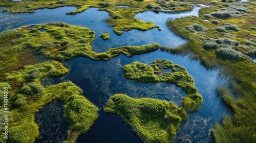  an aerial view of a body of water surrounded by land covered in green plants and grass in the middle of the water is the shape of the shape of a heart.