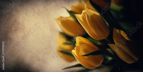 Kartka, wiosenne kwiaty tulipanów, miejsce na tekst, życzenia