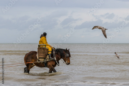 coastal tradition shrimp fishing on horse