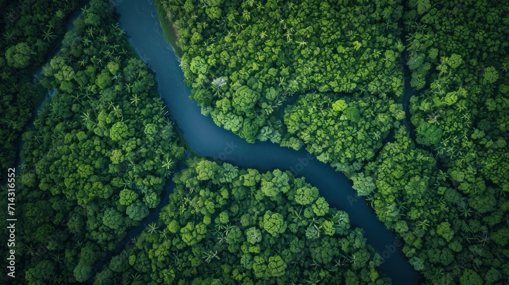 an aerial view of a river in the middle of a forest with a blue river running through the middle of the forest, surrounded by lush green trees and blue water. an aerial view of a river in the middle of a forest with a blue river running through the middle of the forest, surrounded by lush green trees and blue water.