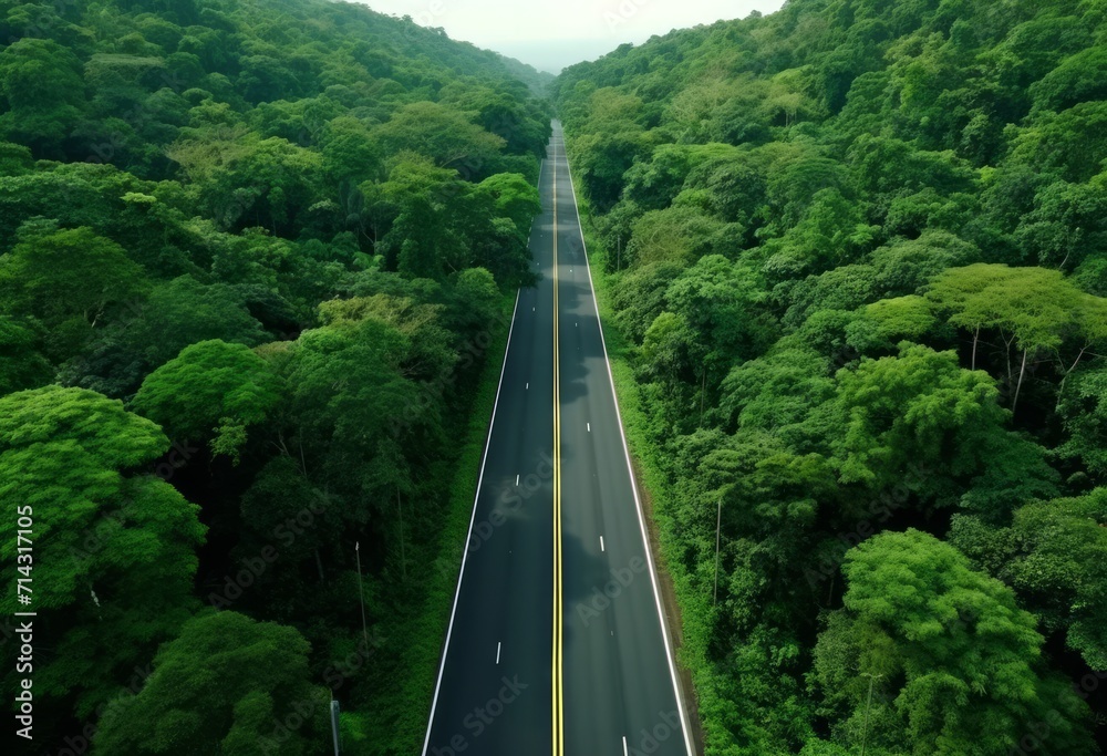 aerial view of a road in a forest road