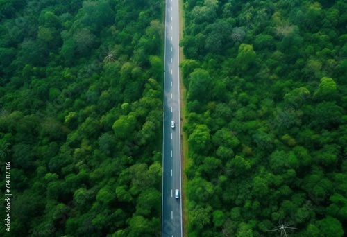 aerial view of a road in a forest road