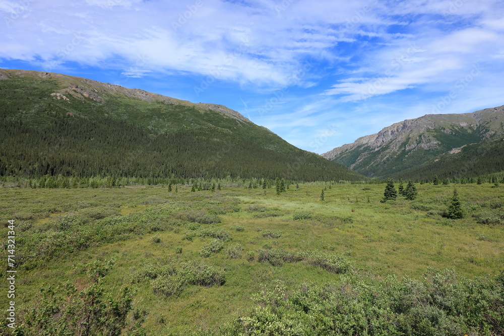 Denali National Park, Alaska, USA,