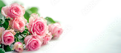 Elegant Pink Roses on a White Background, Copy Space