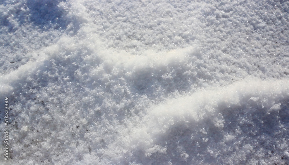 beautiful sunny bright snow texture winter season copy space background selective focus used beautiful sunny bright snow texture winter season copy space background selective focus used