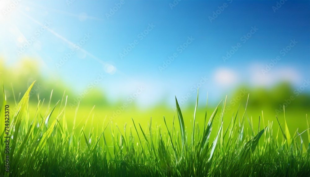 sunny spring meadow blur background blue sky to green grass gradient sunny spring meadow blur background blue sky to green grass gradient