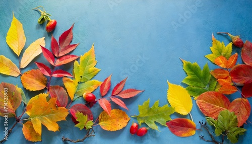 autumn background with colored leaves on blue background 