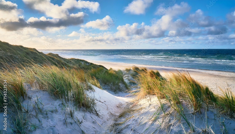 dunes with beach grass at the wide beach at northern denmark high quality photo