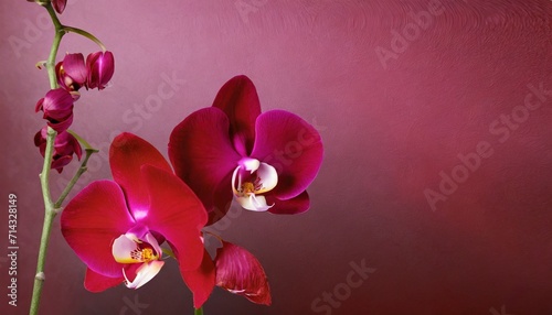 red purple pink orchid abstract background gradient viva magenta color trend 2023 silk satin fabric space for design luxury elegant valentine mother s day birthday anniversary rewarding
