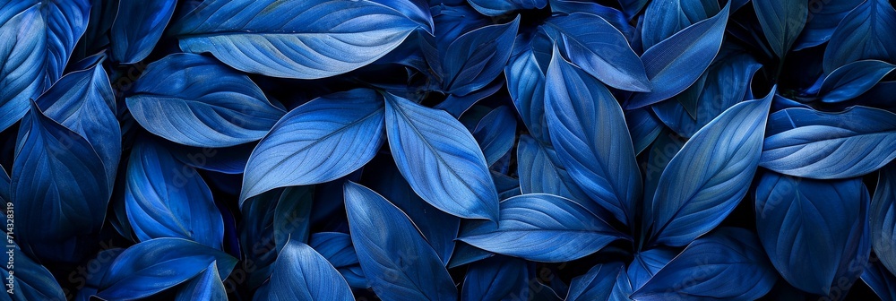 Exotic tropical leaves background with blue  hawaiian plants and flowers. 
