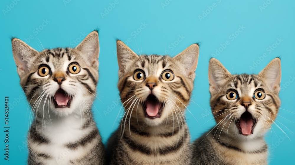 Group of Surprised Cats on Blue Background AI Generated
