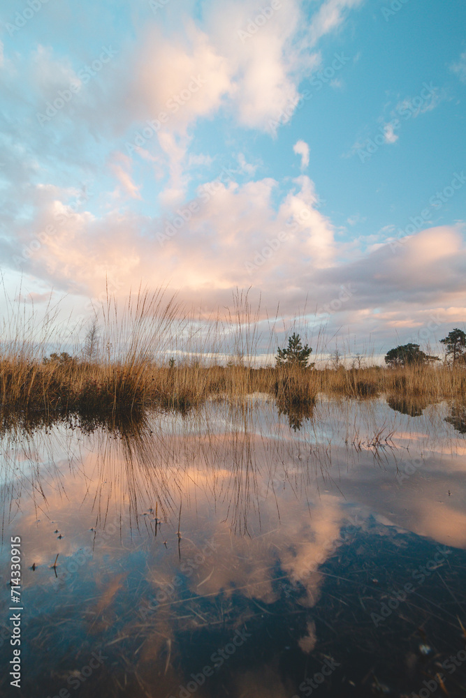 Fototapeta premium Colourful skies and the morning sun illuminate a sandy path and a landscape shrouded in fog at Grenspark Kalmthoutse Heide near Antwerp in north-west Belgium