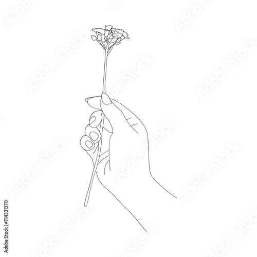 Hand Drawn Right hand holds a flower