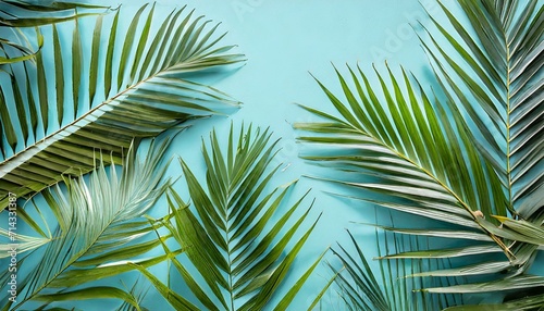 tropical palm leaves on light blue background minimal nature summer styled flat lay image is approximately 5500 x 3600 pixels in size photo