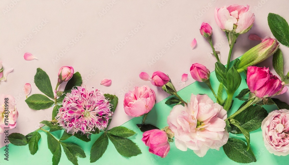 spring composition of pink flowers on punchy pastel background with copy space creative layout flat lay top view summer minimal concept