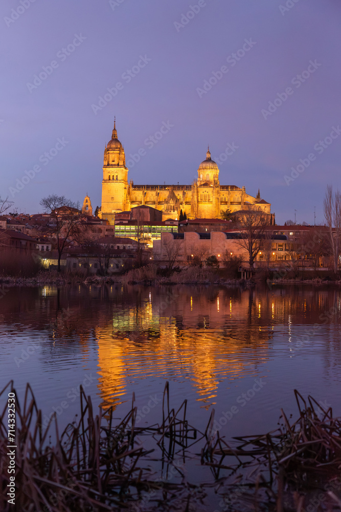Salamanca Skyline view with the Cathedral, Spain