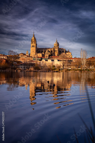 Salamanca Skyline view with Cathedral and Enrique Estevan Bridge on Tormes River, Spain