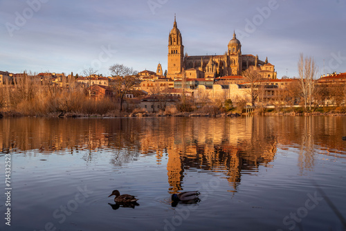 Salamanca Skyline view with...