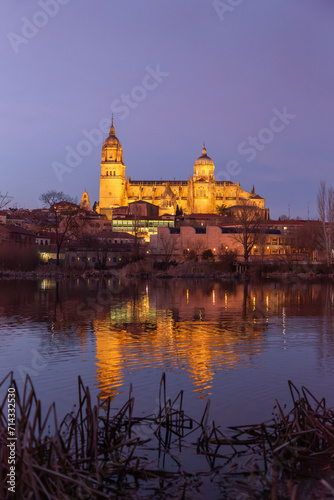 Salamanca Skyline view with the Cathedral, Spain