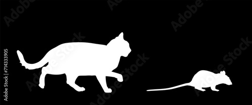 Fat hungry cat chasing rat mouse vector silhouette illustration isolated on black background. Cat eat rat shape. Feline hunter hunting mouse prey. 