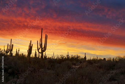 Vibrant Arizona Desert Sunrise Skies & landscape With Saguaro Cactus 