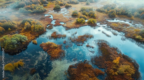  an aerial view of a body of water surrounded by lots of trees in the middle of a marshy area with a few patches of green and yellow trees in the middle of the water.