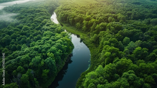  an aerial view of a river in the middle of a green forest with a river running through the middle of the forest, surrounded by thick green trees and fog.