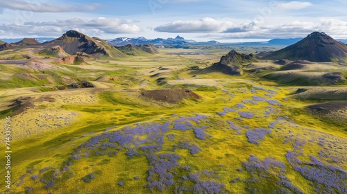  an aerial view of a valley with blue flowers in the foreground and a mountain range in the distance with a blue sky with white clouds in the foreground. © Anna