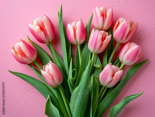 Beautiful Composition of Spring Flowers  Bouquet of Pink Tulips on Pastel Pink Background AI Generated