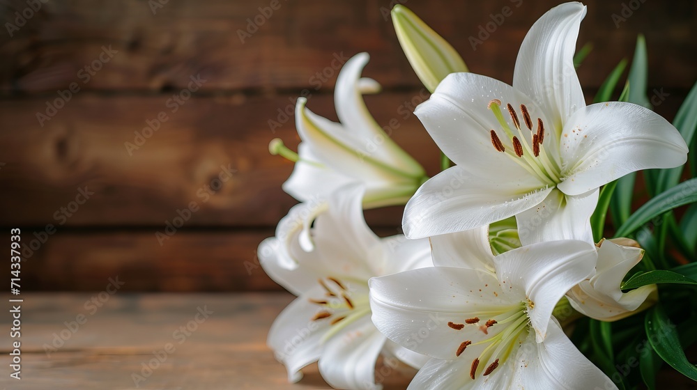 Lillies on a background Lillies on a background