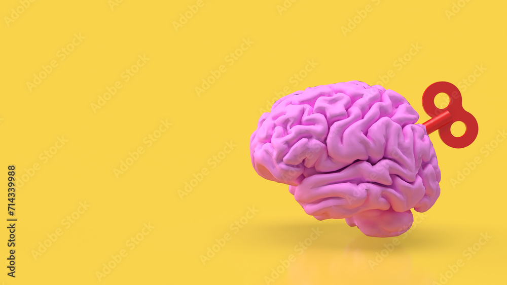 The Human brain with wind up for Medical or Technology concept 3d rendering. The Human brain with wind up for Medical or Technology concept 3d rendering.