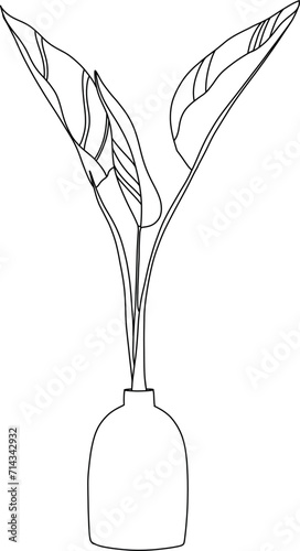 Hand drawn minimalist vase with flower