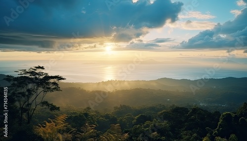 View of the sea of clouds from the top of the mountain peak. Tropical green forest  falling leaves with the vibrant morning reflection of the sunrise.