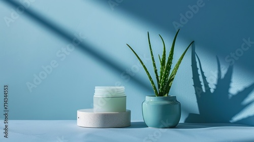  a potted plant sitting next to a small container with a lot of water on top of it on a blue surface with a shadow of a wall behind it.