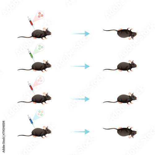 Griffith Experiment Scientific Design. Vector Illustration.