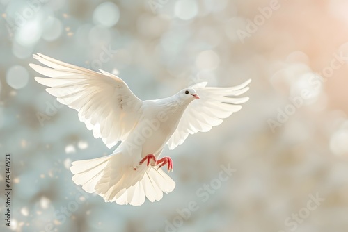 A serene white dove in mid-flight against a soft, bokeh background © JD