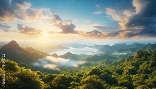 View of the sea of clouds from the top of the mountain peak. Tropical green forest, falling leaves with the vibrant morning reflection of the sunrise.