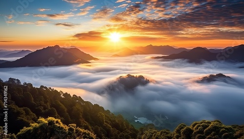 View of the sea of clouds from the top of the mountain peak. Tropical green forest  falling leaves with the vibrant morning reflection of the sunrise.