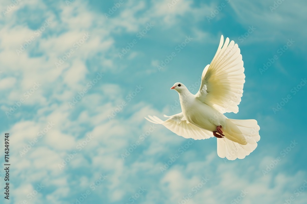Fototapeta premium A white dove soaring against a clear blue sky