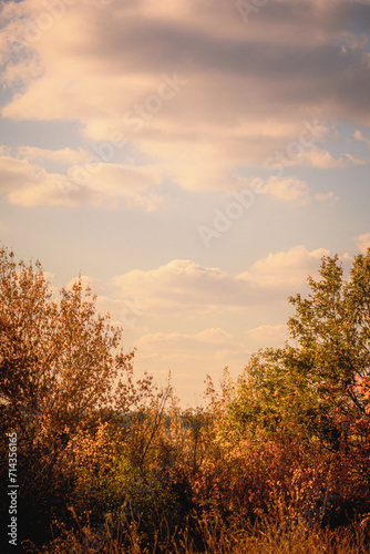 Amber and Emerald Trees by a Yellow Dry Grass Field, Autumn Evening with Blue Sky and Orange Sunset