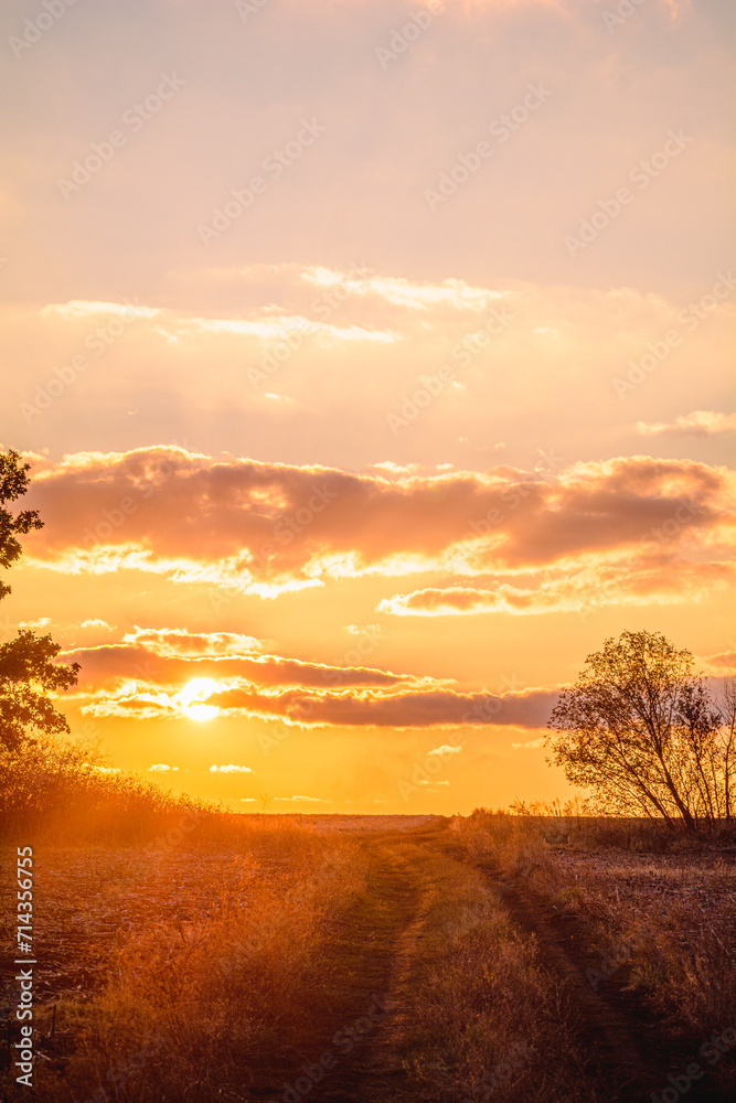 A dirt road in a field, with a small tree growing nearby, leading towards the horizon, against the backdrop of a bright orange sun, which is hidden behind orange clouds 