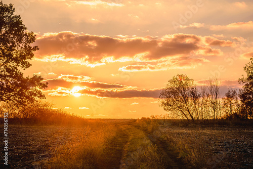 A dirt road in a field  surrounded by trees and bushes  leading towards the horizon  against the backdrop of a bright orange sun  which is hidden behind orange clouds 