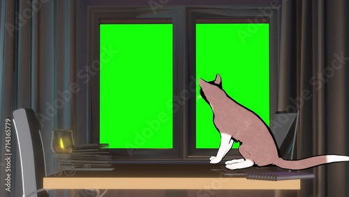 A toon cat sitting and looking style of anime, loop animation 3d render  on a green background photo