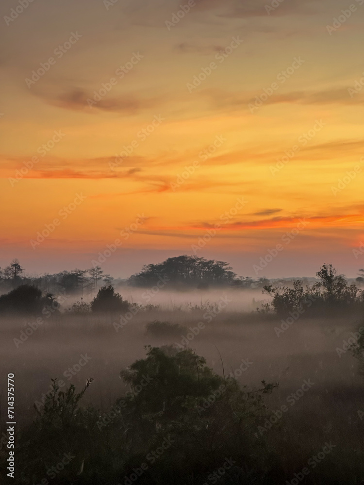 Brilliant Orange Sunrise Over Everglades