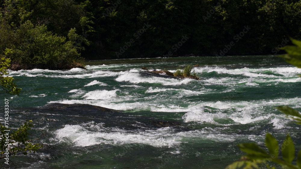 Obraz premium River With Rapids and Trees in the Background at Rhine Falls, Switzerland