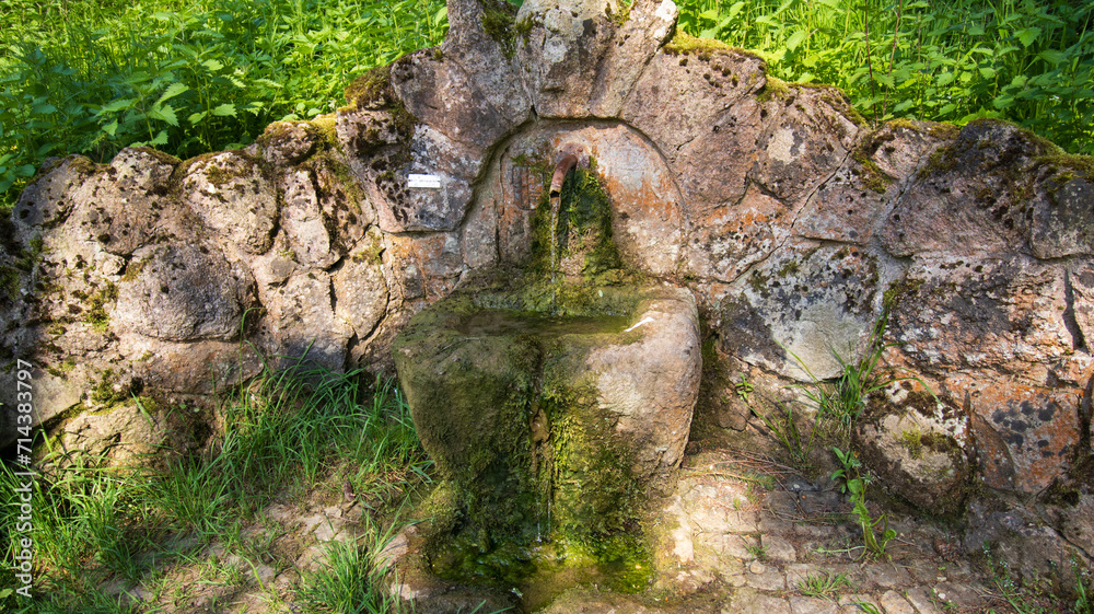 Stone Statue in Lush Green Field, Serene Presence in Nature